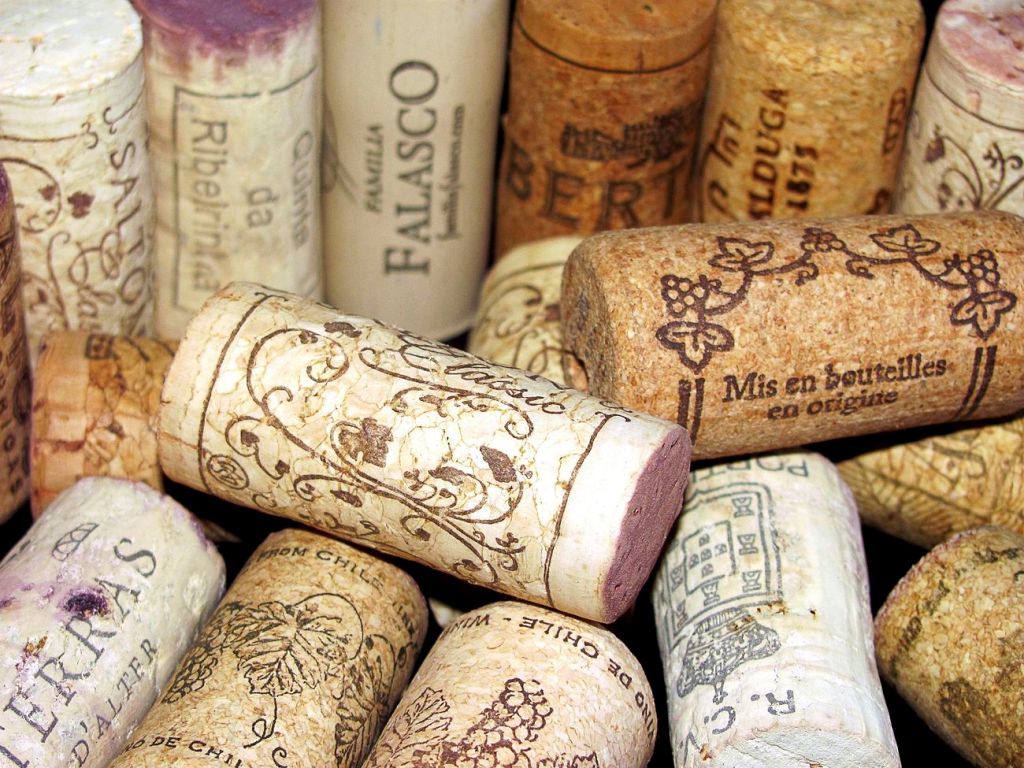 Wine and Wanderlust: Uncork your inner&nbsp;explorer