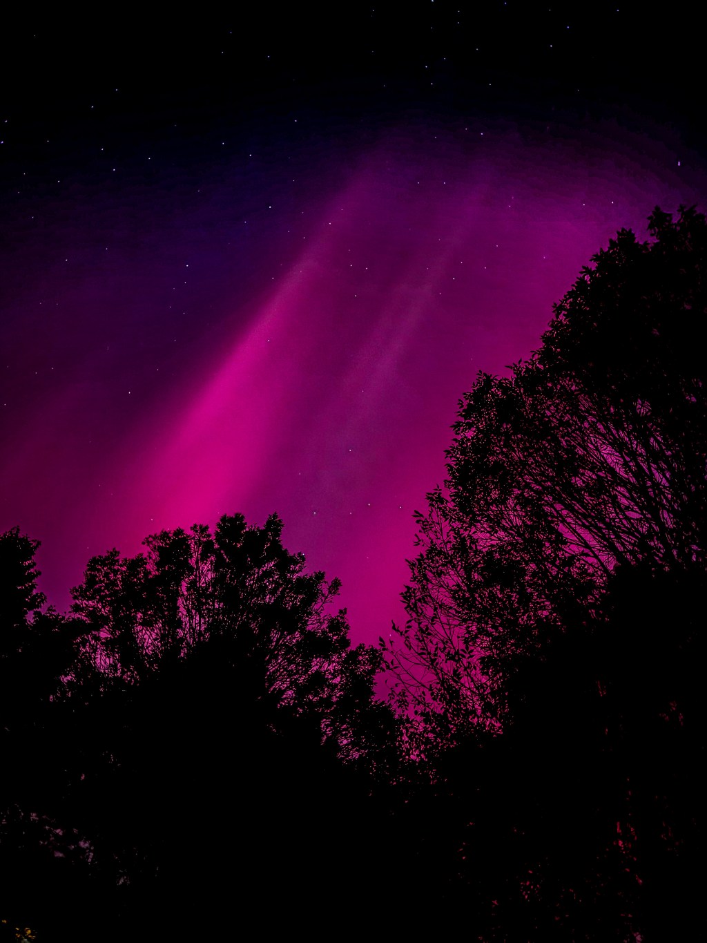 Nature’s Light Show: A Shared Moment and Tech’s Perfect&nbsp;Snapshot